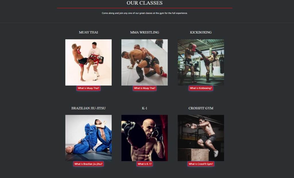 wildfightersgym classes section