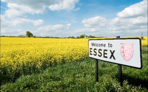 Essex welcome sign with yellow flowers in a field symbolising web development in Essex